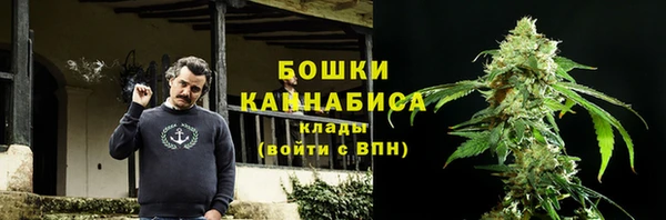 скорость Ельня