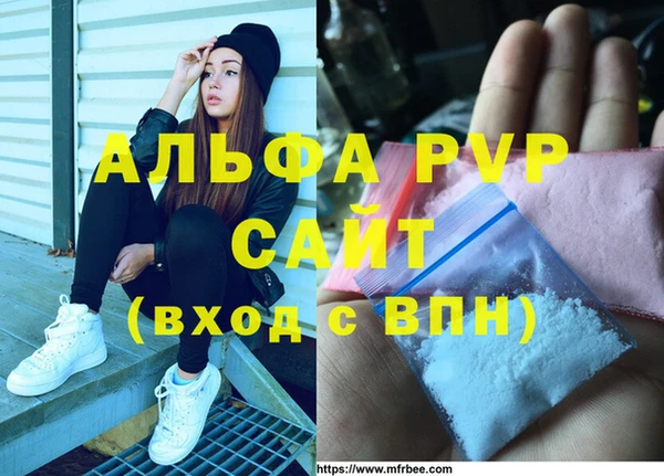 стафф Заволжье