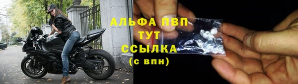 скорость Ельня