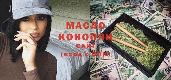 скорость Ельня