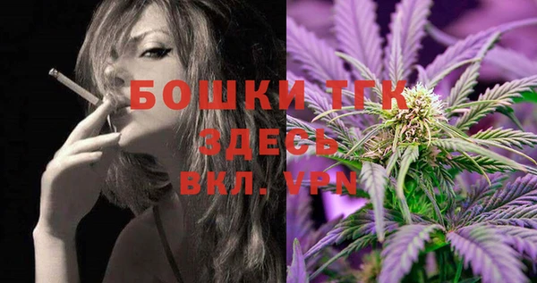скорость Ельня