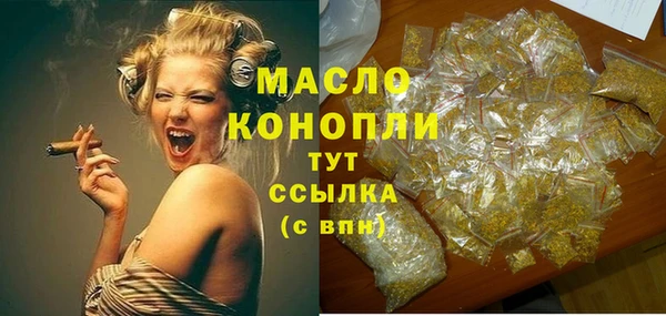 скорость Ельня