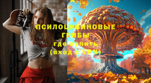 стаф Заволжск