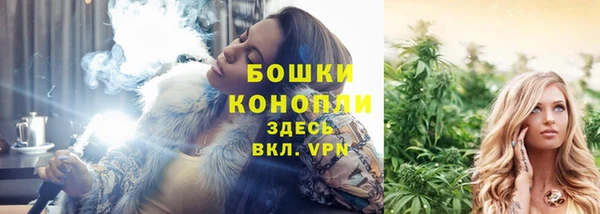 стаф Заволжск
