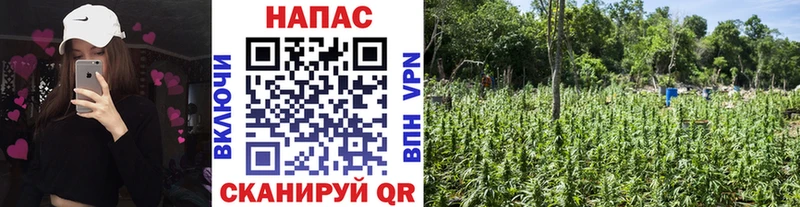 Каннабис AK-47  купить   Железноводск 